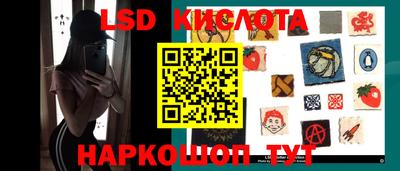 СК Абакан