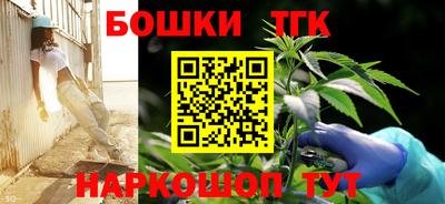СК Абакан