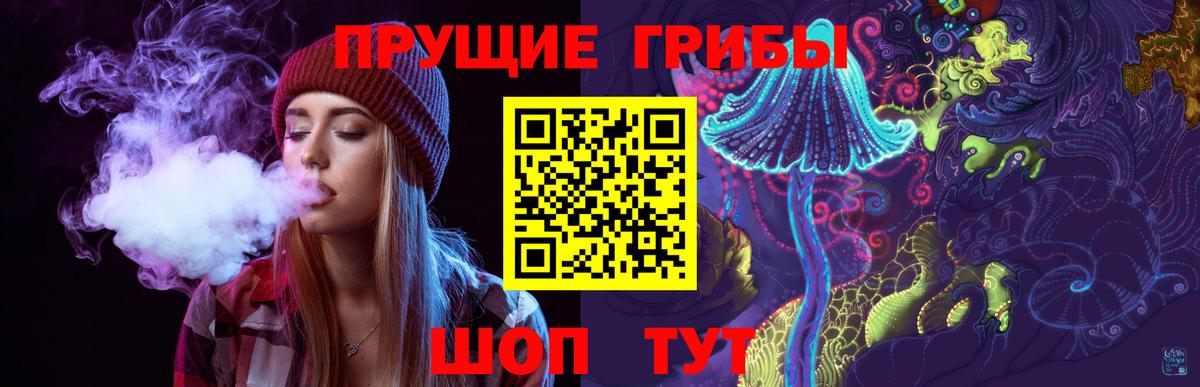 Алатырь  Псилоцибиновые грибы Psilocybe  Вход с VPN  Псилоцибиновые грибы MAGIC MUSHROOMS 